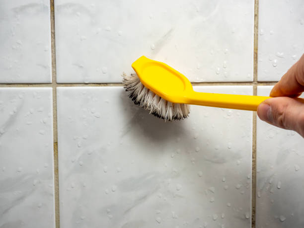 Best Residential Mold Removal  in Oakley, CA