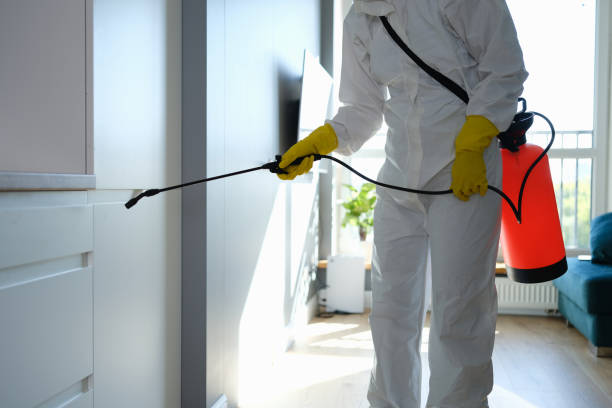 Best Commercial Mold Removal  in Oakley, CA