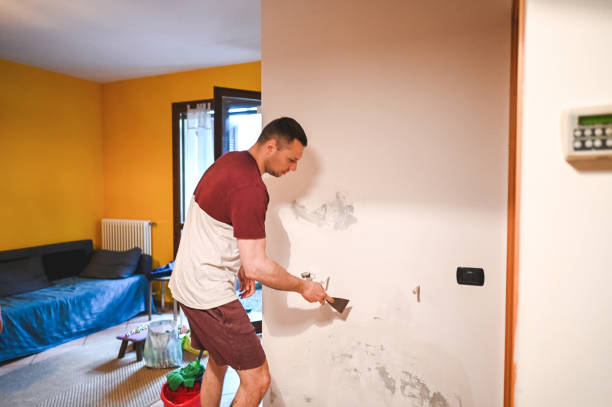 Home Mold Removal in Oakley, CA
