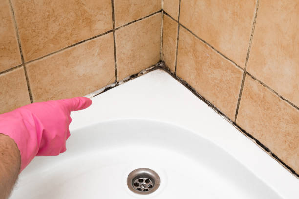 Best Certified Mold Removal  in Oakley, CA